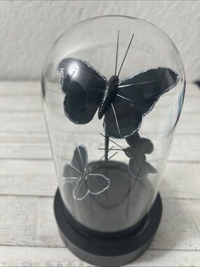 Black Decorative 4 Moths Dome - Home Art